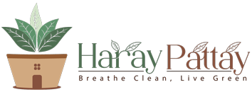 HarayPattay